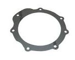 SWIVEL PIN GASKET