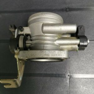 THROTTLE BODY